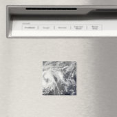 Tropisch Storm Josephine Magneet (Insitu (Vaatwasser))