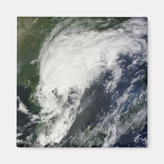 Tropisch Storm Kompasu Magneet (Voorkant)