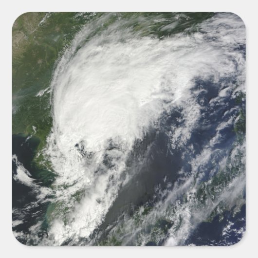 Tropisch Storm Kompasu Vierkante Sticker (Voorkant)