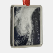 Tropisch Storm Krovanh Metalen Ornament (Rechts)