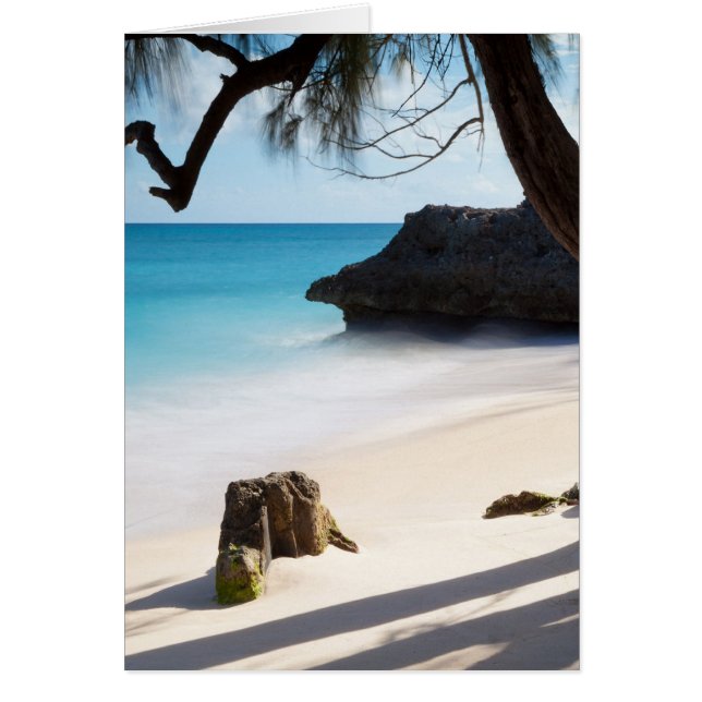 Tropisch strand (Voorkant)