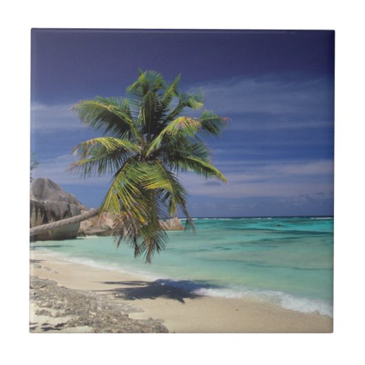 Tropisch strand, Anse Sourse D'Argent, La Digue Tegeltje (Voorkant)