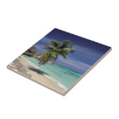 Tropisch strand, Anse Sourse D'Argent, La Digue Tegeltje (Zijkant)