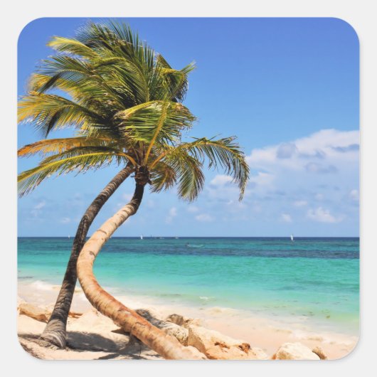 Tropisch strand en palmboom vierkante sticker (Voorkant)