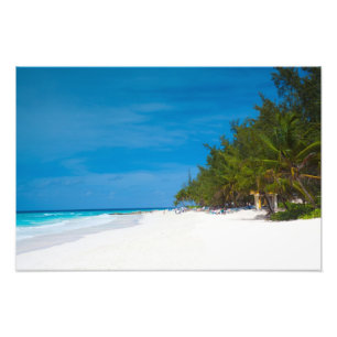 Tropisch strand in Barbados Foto Afdruk