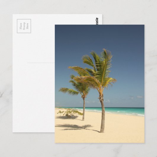 Tropisch strand in de Dominicaanse Republiek Briefkaart (Voorkant / Achterkant)