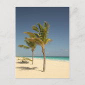Tropisch strand in de Dominicaanse Republiek Briefkaart (Voorkant)