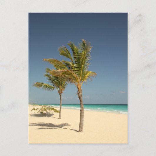 Tropisch strand in de Dominicaanse Republiek Briefkaart (Voorkant)