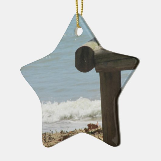 Tropisch strand keramisch ornament (Links)