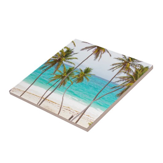 Tropisch strand met palmboom tegeltje (Zijkant)