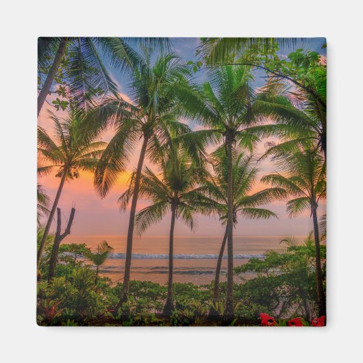 Tropisch strand | Nationaal park Corcovado Magneet (Voorkant)