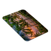 Tropisch strand | Nationaal park Corcovado Magneet (Rechterzijde)