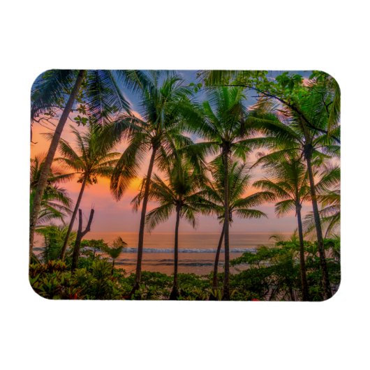 Tropisch strand | Nationaal park Corcovado Magneet (Horizontaal)