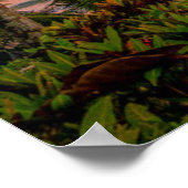 Tropisch strand | Nationaal park Corcovado Poster (Hoek)