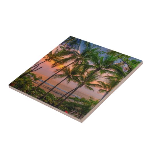 Tropisch strand | Nationaal park Corcovado Tegeltje (Zijkant)