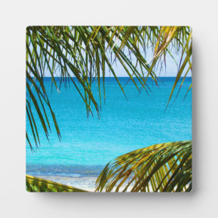 Tropisch strand omlijst met palmbladeren fotoplaat