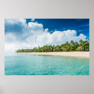 Tropisch strand omzoomd door palmen poster