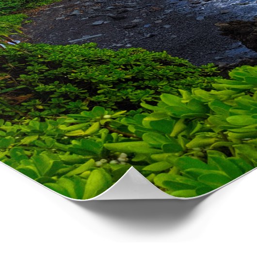 Tropisch strand op het eiland Maui Hawaiian Poster (Hoek)