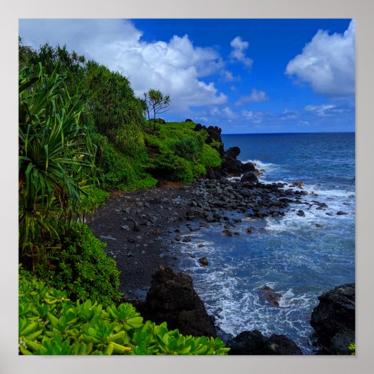 Tropisch strand op het eiland Maui Hawaiian Poster (Voorkant)