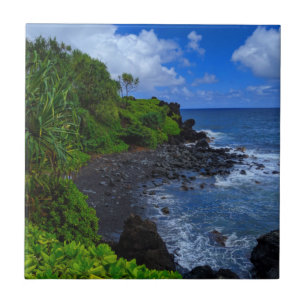 Tropisch strand op het eiland Maui Hawaiian Tegeltje