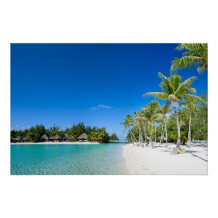 Tropisch strand perfect poster