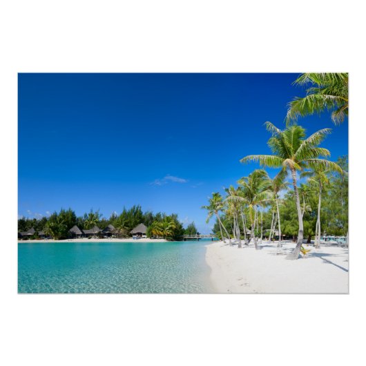 Tropisch strand perfect poster (Voorkant)