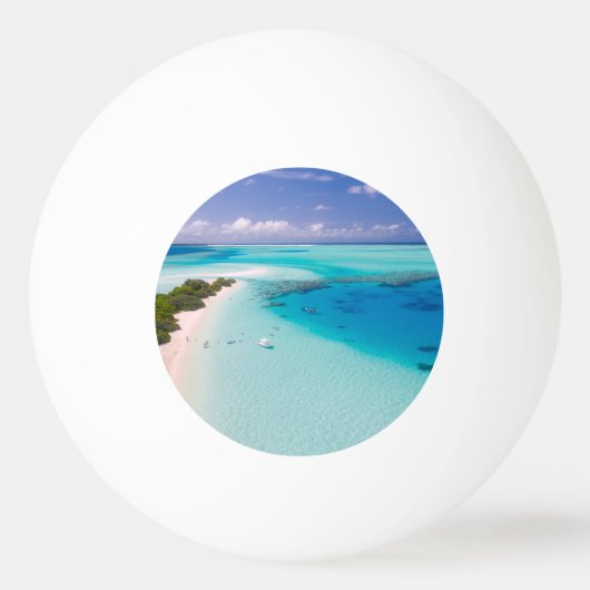 Tropisch strand pingpongbal (Voorkant)