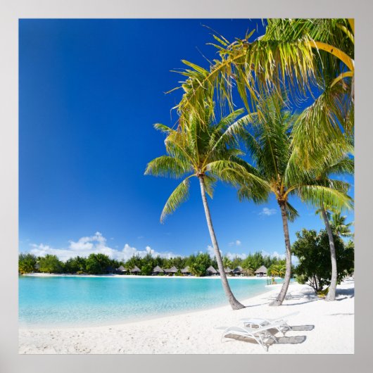 Tropisch strand poster (Voorkant)
