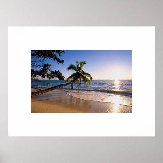 Tropisch strand Poster (Voorkant)