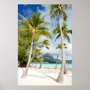 Tropisch strand poster