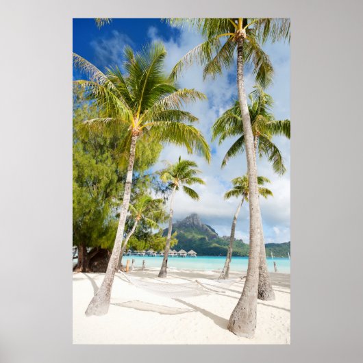 Tropisch strand poster (Voorkant)