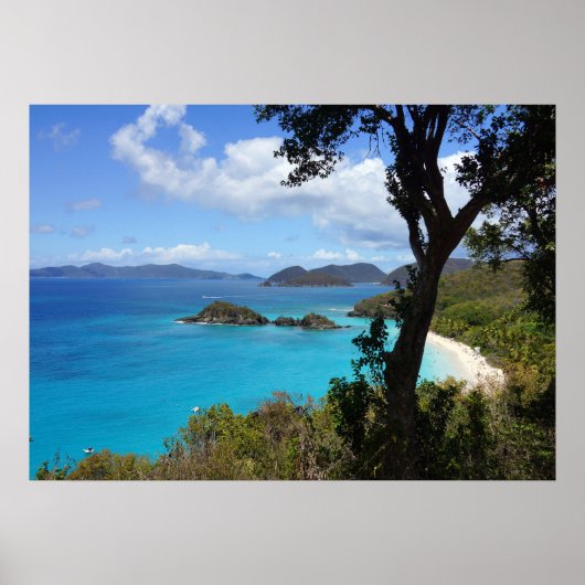 Tropisch strand poster (Voorkant)