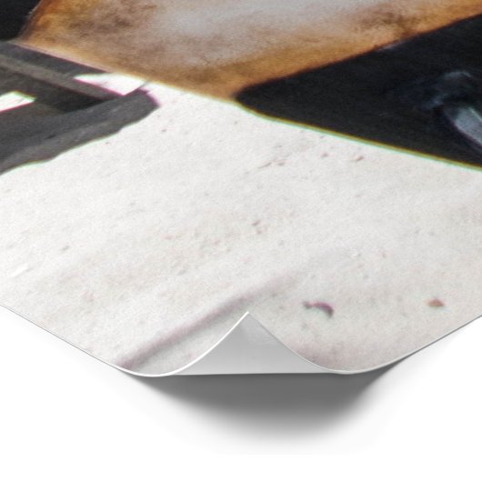 Tropisch strand Resort Poster (Hoek)