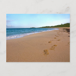 Tropisch strand scène briefkaart