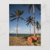 Tropisch strand scène briefkaart (Voorkant)