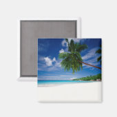 Tropisch strand | Seychellen Magneet (Voorkant / Achterkant)
