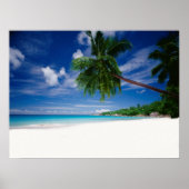 Tropisch strand | Seychellen Poster (Voorkant)