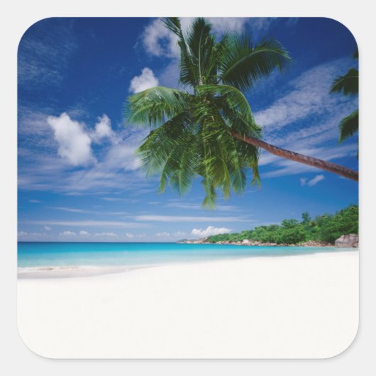 Tropisch strand | Seychellen Vierkante Sticker (Voorkant)