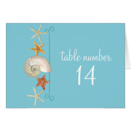 Tropisch strand Shells Starfish Nautilus Summer