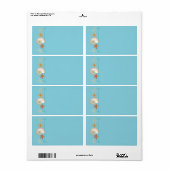 Tropisch strand Shells Starfish Nautilus Summer Etiket (Full Sheet)