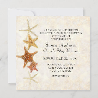 Tropisch strand Shells Starfish Nautilus Summer Kaart