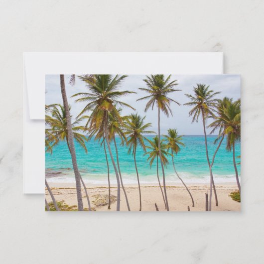 Tropisch  strand Shore Palm Weddenschap Kaart (Achterkant)