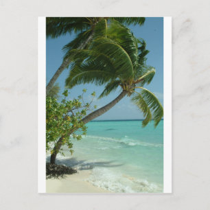 Tropisch Strand Zand Zon Water Oceaan Golven Surf Briefkaart