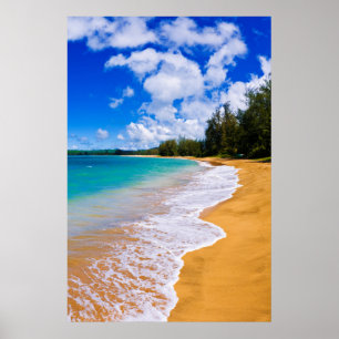 Tropisch strandparadijs, Hawaï Poster