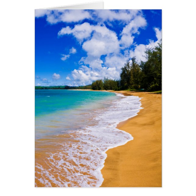 Tropisch strandparadijs, Hawaii (Voorkant)