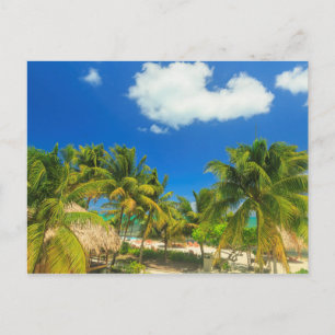 Tropisch strandresort, Belize Briefkaart