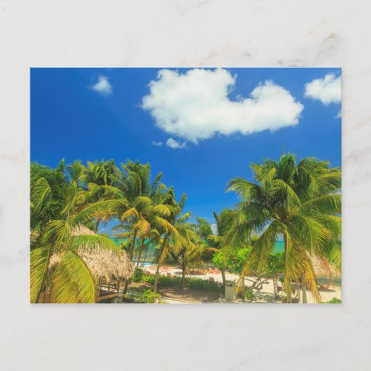 Tropisch strandresort, Belize Briefkaart (Voorkant)