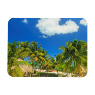 Tropisch strandresort, Belize Magneet