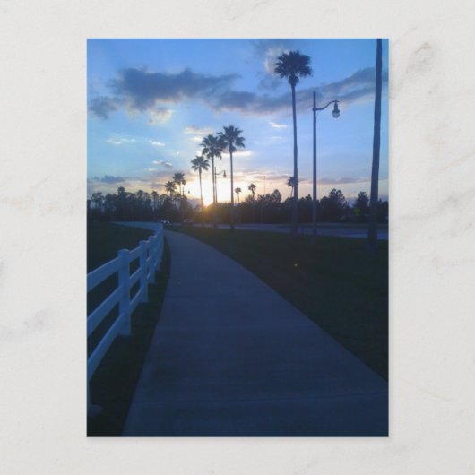 Tropisch Sunset Briefkaart (Voorkant)
