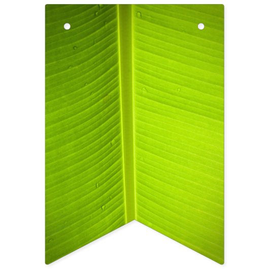 Tropisch thema. Banaanbladeren. Vlaggetjes (Tweede vlag)